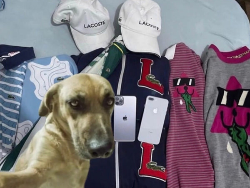 MONTAGEM MONTREAL DA ALEGRIA (Single)