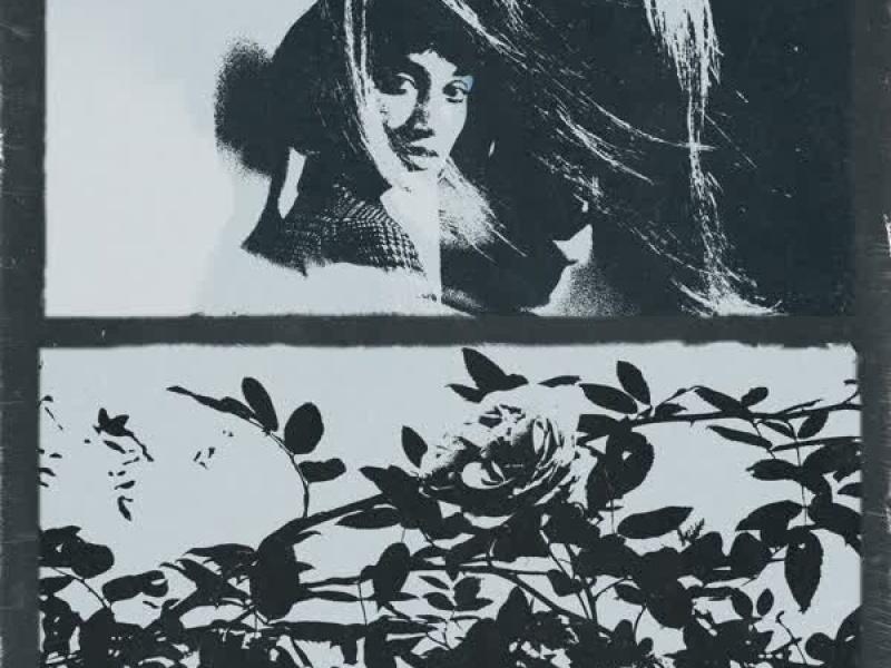 When The Party's Over (Single)