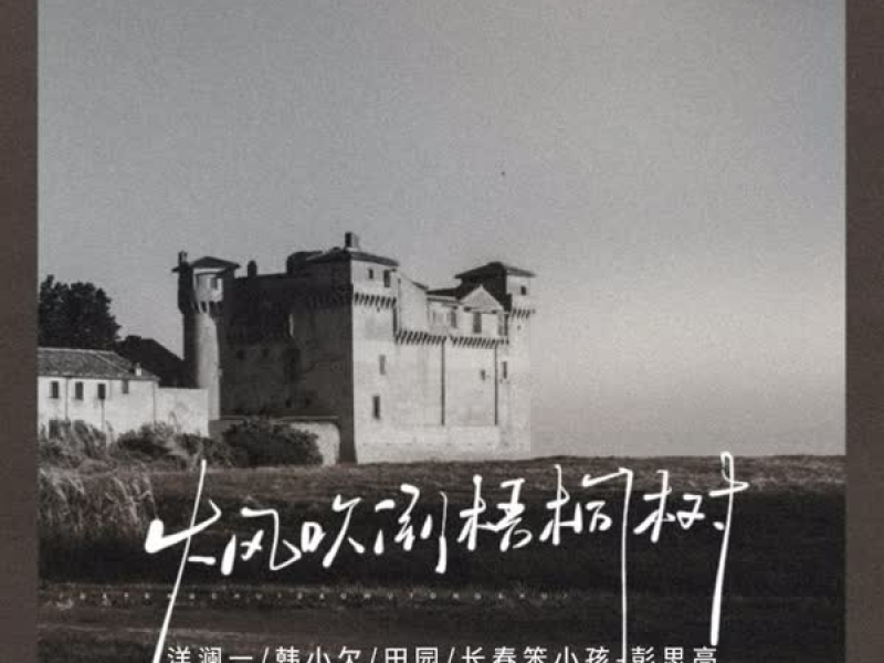 大风吹倒梧桐树 (Single)