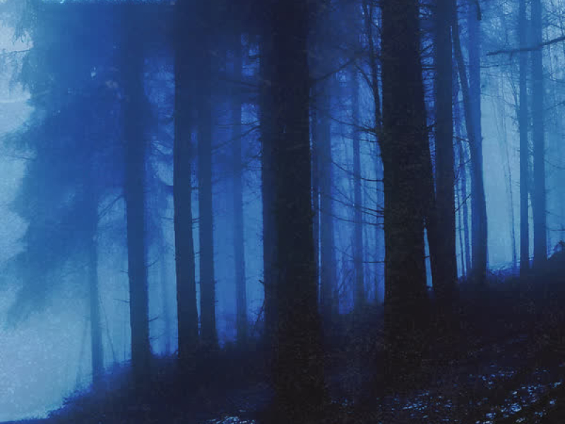 why am i still here (Single)