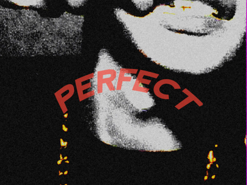 Perfect (Single)