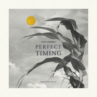 Perfect Timing (Single)