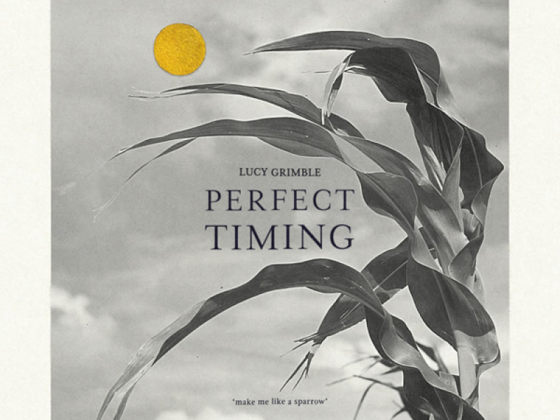 Perfect Timing (Single)