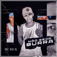 Não Seja Burra (Single)