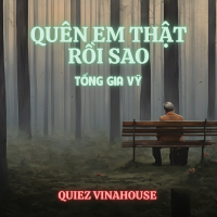Quên Em Thật Rồi Sao (Quiez Vinahouse) (Single)
