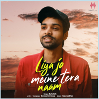 Liya Jo Meine Tera Naam (Single)