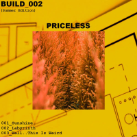 Build_002 (Summer Edition) (EP)