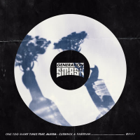 One Too Many Times (Single)