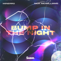 Bump In The Night (Single)