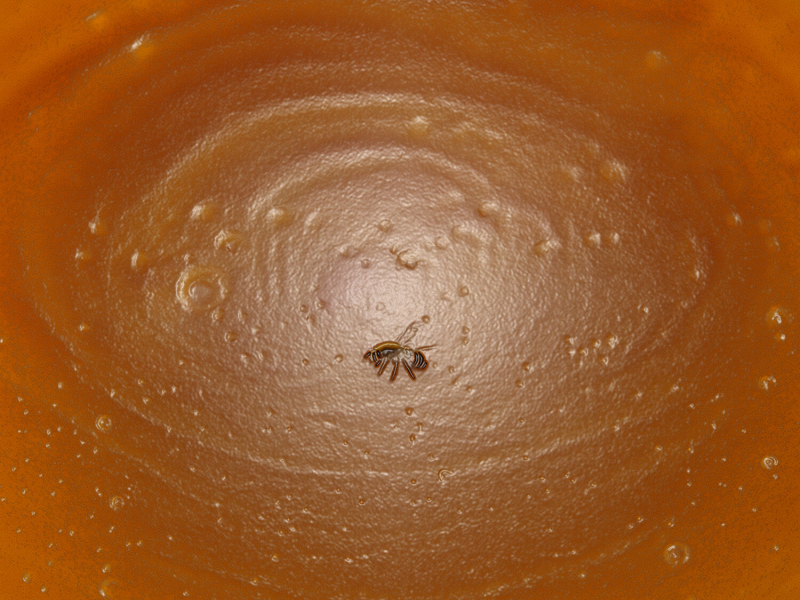 ci farà a pezzi (Single)