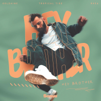 Hey Brother (Single)