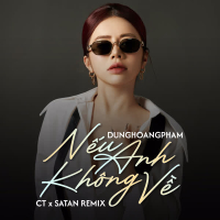 Nếu Anh Không Về (Single)
