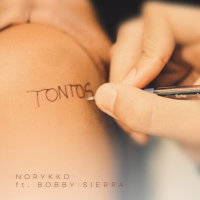 Tontos (Single)