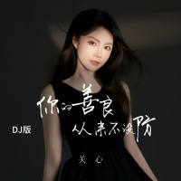 你的善良从来不设防 (DJ版) (Single)