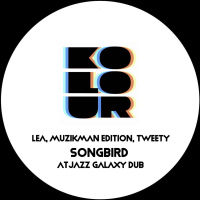 Songbird (Atjazz Galaxy Dub) (Single)