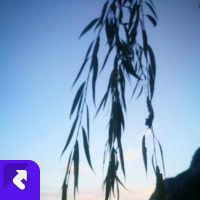 对你的想念 (Single)