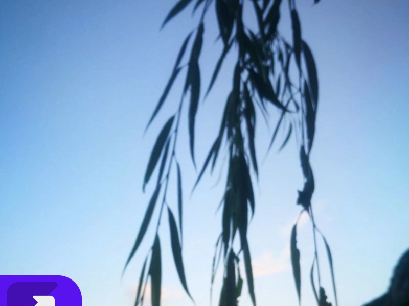 对你的想念 (Single)