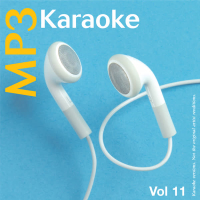 MP3 Karaoke Vol.11
