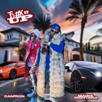 Fuck It Up (feat. Cam'ron) (Single)