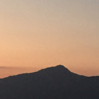 Maison Margiela (Single)