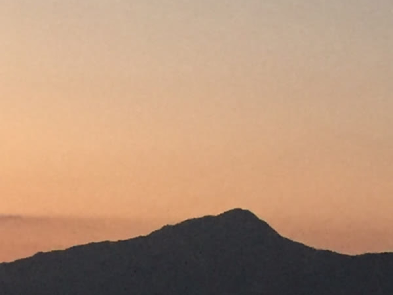 Maison Margiela (Single)