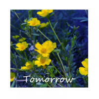 Tomorrow (Single)