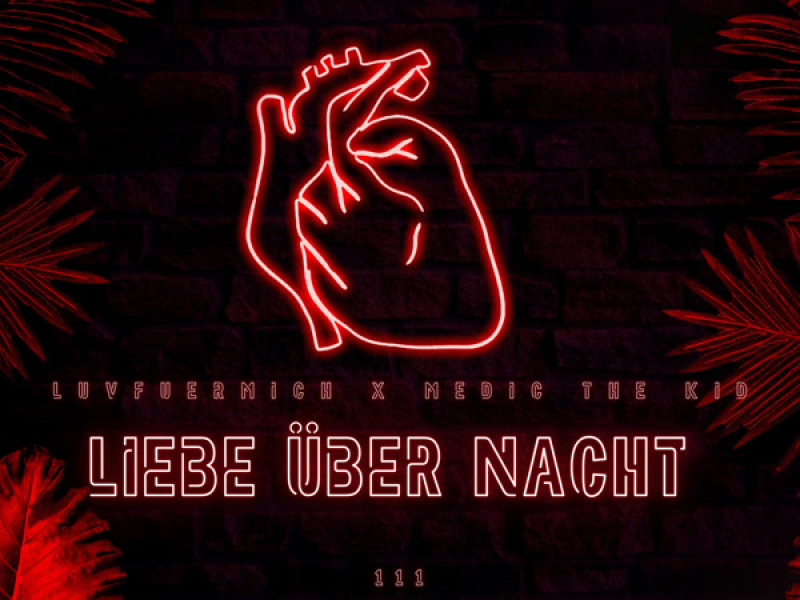 Liebe über Nacht (Single)