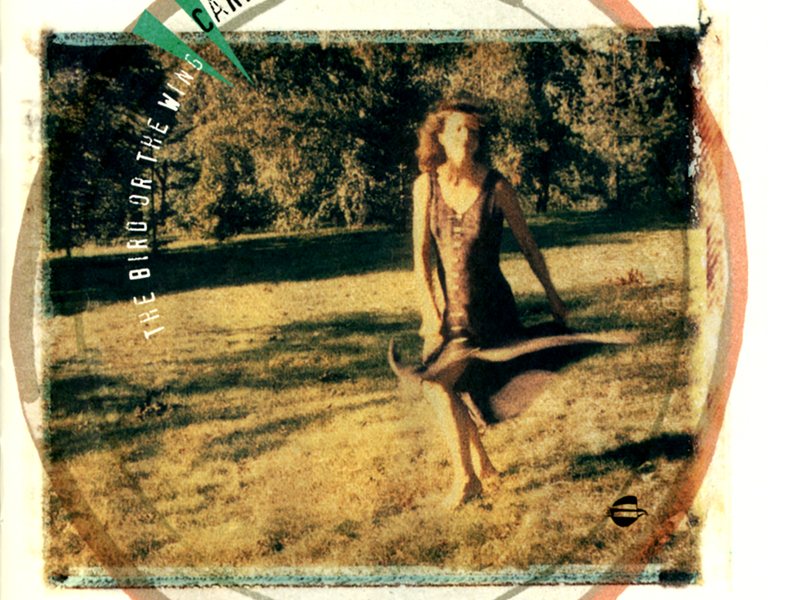 The Bird Or The Wing