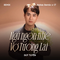 Ngủ Ngon Nhé Vợ Tương Lai (Remix) (Single)