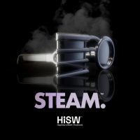 Steam (Single)