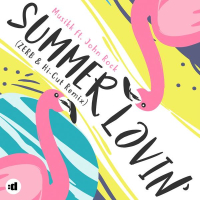 Summer Lovin' (ZERB & Hi-Cut Remix) (Single)