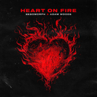Heart On Fire (Single)