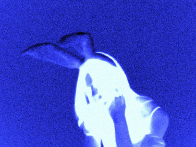 Follow You (Alex Kassian Remixes) (EP)