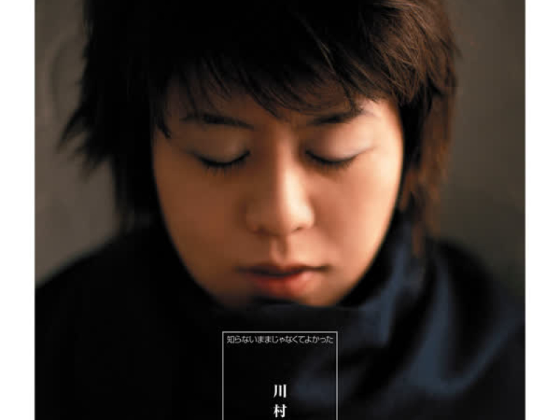 Shiranai Mamaja Nakute Yokatta