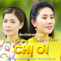 Tân Cổ Em Không Buồn Nữa Chị Ơi (Single)