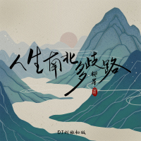人生南北多歧路 (DJ刘雅松版) (Single)