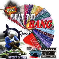 Bang What You Bang (Single)