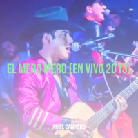 El Mero Mero (En Vivo 2013) (Single)