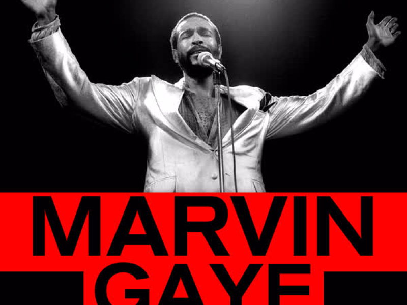 Studio & Live Essentials