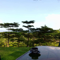 banyak aturan (Single)