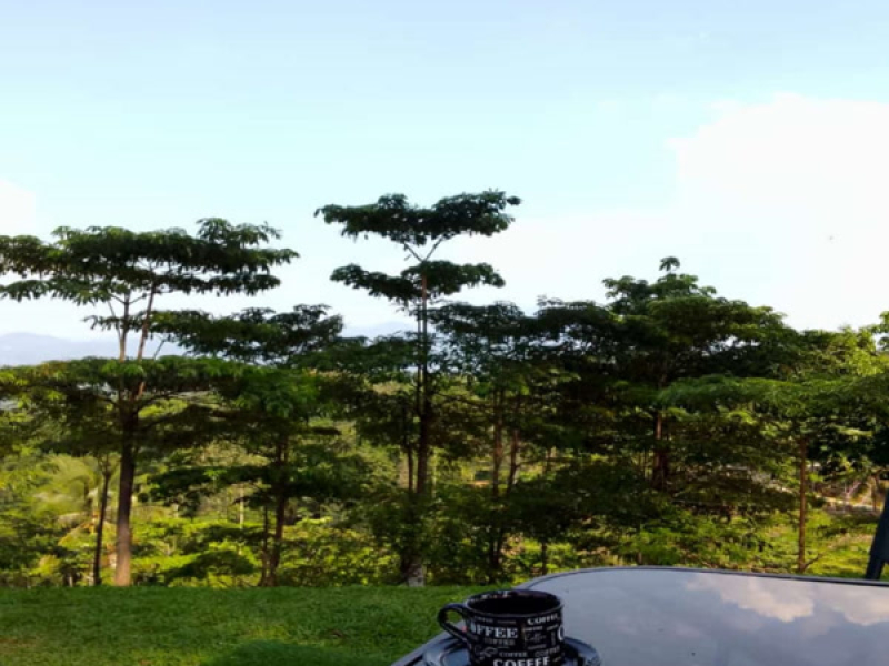 banyak aturan (Single)