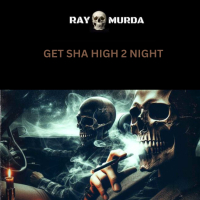 Get Sha High 2 Night (Single)