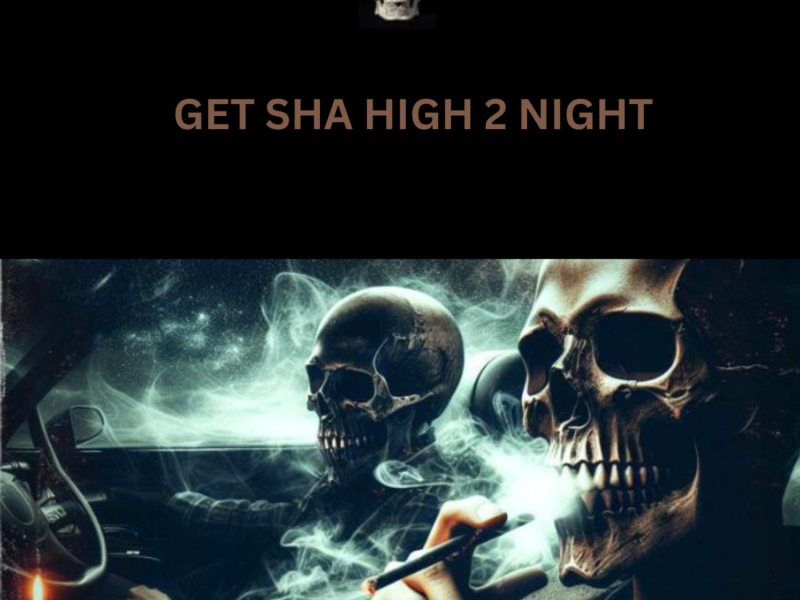 Get Sha High 2 Night (Single)