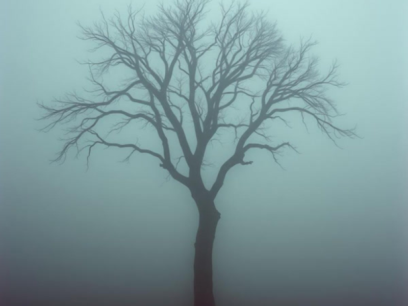 Bayang Perang (Single)