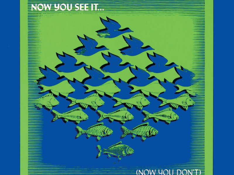 Now You See It ... (Now You Don't)