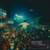 Why Not (Single)