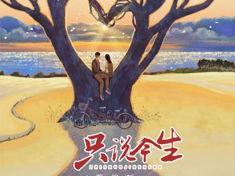 只说今生 (DJ京仔版) (Single)