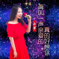 再叫一声亲爱的真的好想你 (EP)