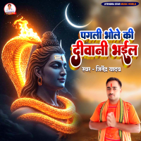 Pagali Bhole Ki Diwani Bhail (Single)