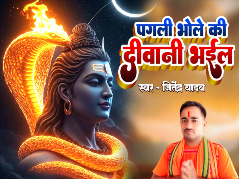 Pagali Bhole Ki Diwani Bhail (Single)